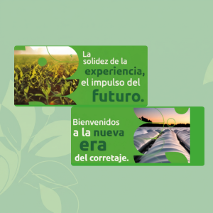 Columna 1