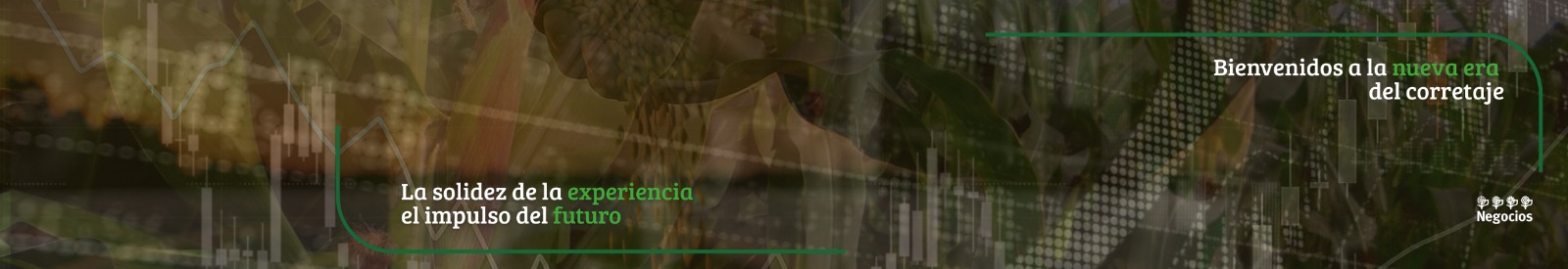 Imagen institucional