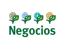 Imagen institucional